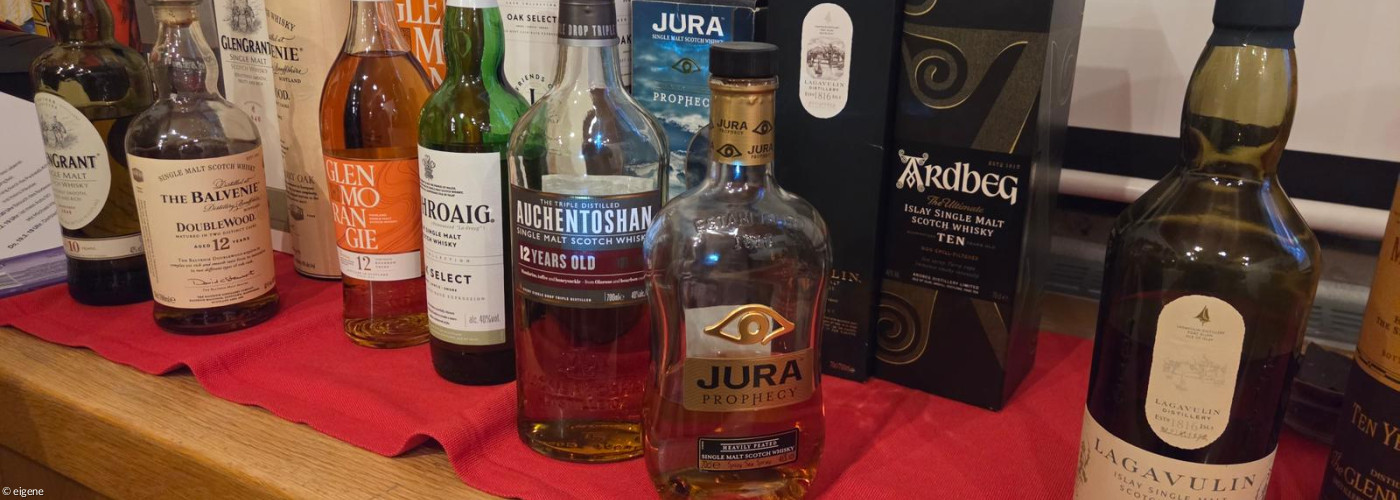 Verschiedene Whiskeyflaschen stehen aufgereiht nebeneinander