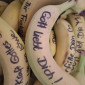 Bananen mit Segensspr&uuml;chen