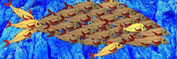 Fisch